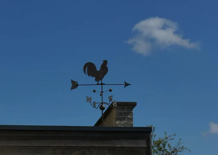 Oda ve Kahvaltı De Windhaan De Haan